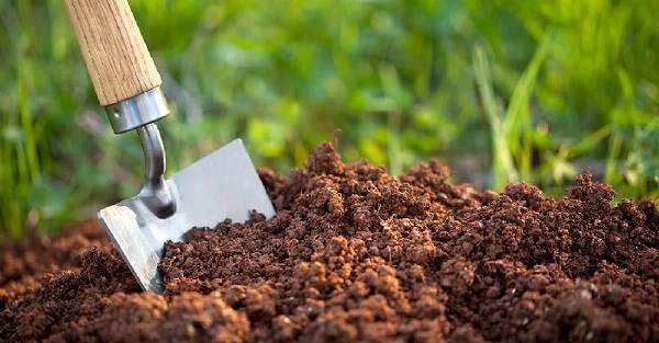 fertilizzare il terreno in modo naturale