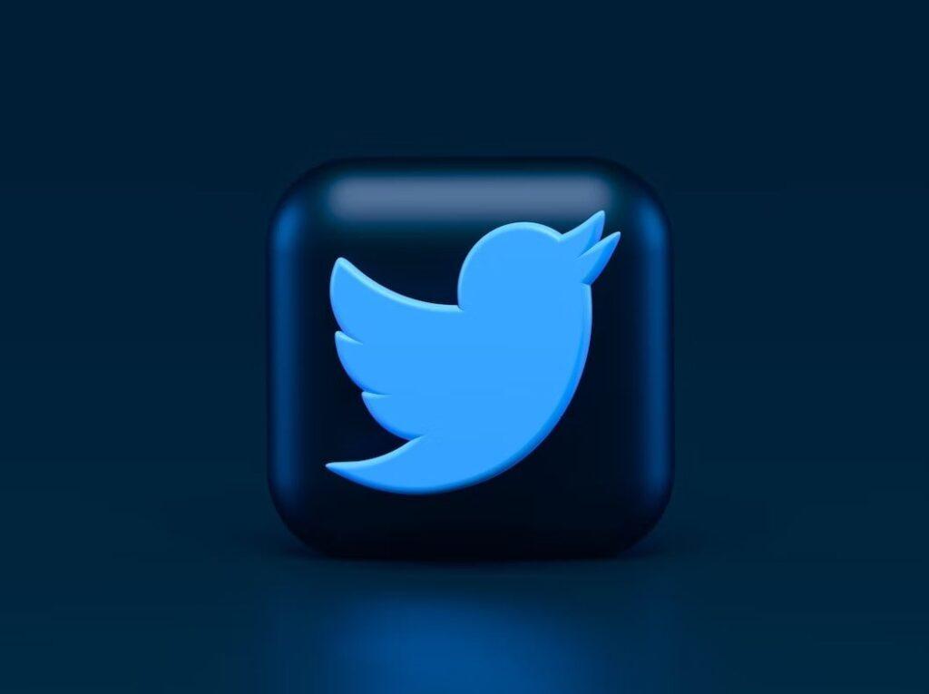 come funziona Twitter blue